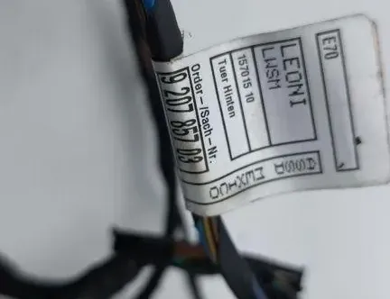 BMW X5 E70 (2006-2013) Aizmugurējo kreiso durvju elektroinstalācija 15701510,9207857 33617975