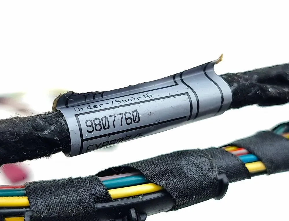 MINI Cooper R56 (2006-2015) Rear Left Door Wiring 9807760 33725001