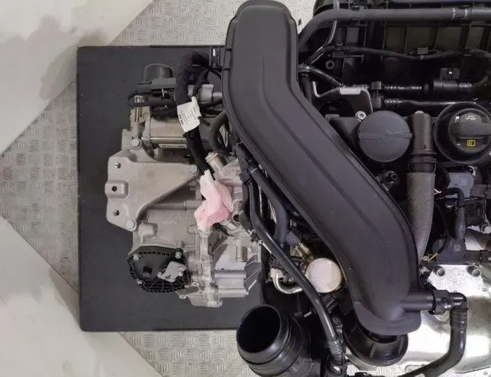 VOLKSWAGEN Golf 8 generation (2019-2023) Dzinējs DFYA083891,SILS015,MKB 27464088