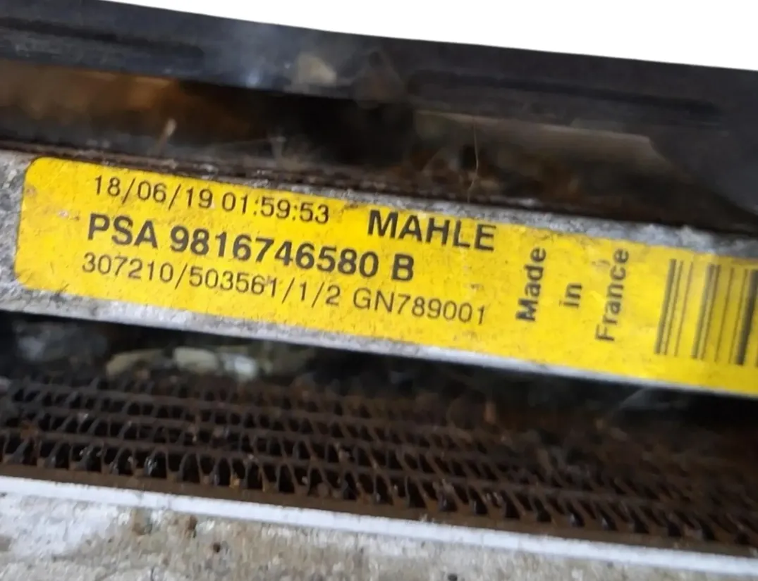 PEUGEOT 508 2 generation (2018-2023) Dzesēšanas sistēma 9829220580,9816746580 30162046