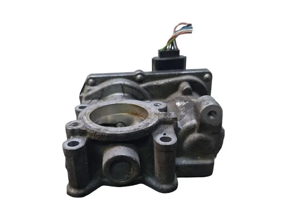 NISSAN Qashqai 2 generation (2013-2023) Droseļvārsts H8201171233 33362867