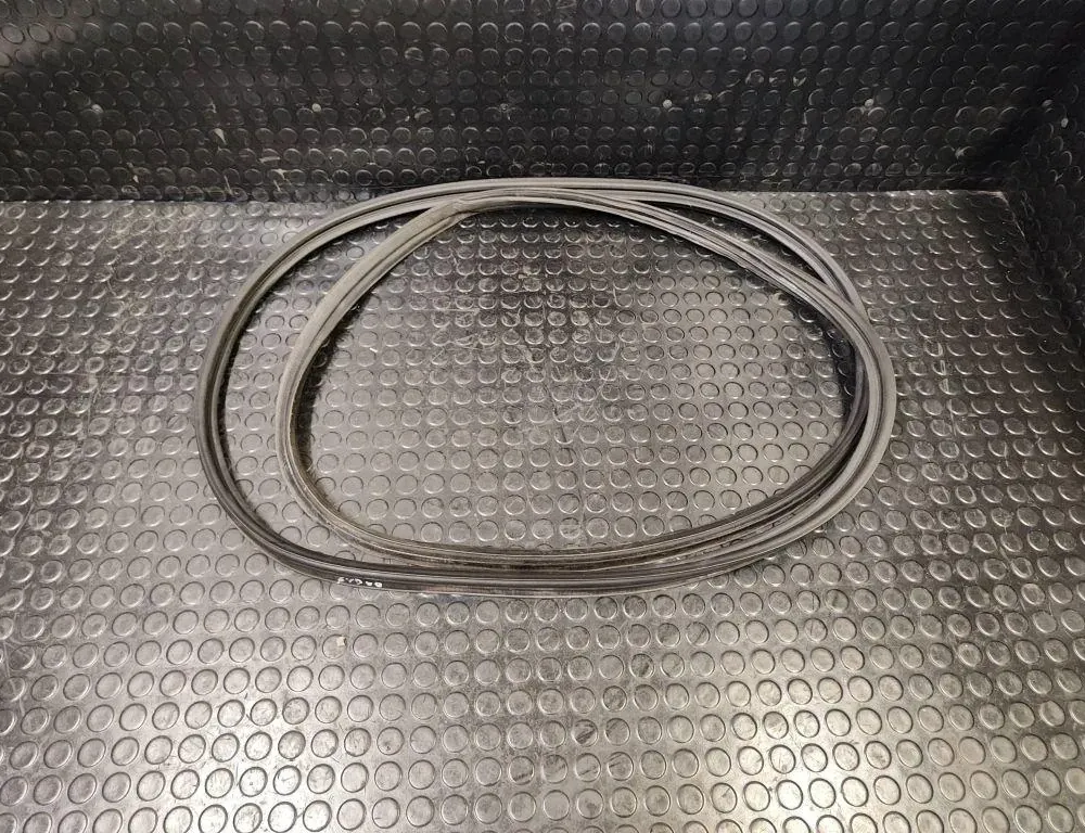 NISSAN Murano Z51 (2008-2015) Bagāžnieka vāka blīvgumija 33173197