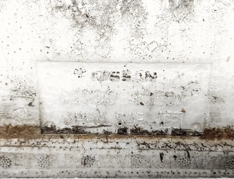 NISSAN X-Trail T32 (2013-2022) Priekšējā bufera stiprinājuma putoplasts 620904CE0A 33361226