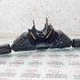 VOLKSWAGEN Sharan 1 generation (1995-2010) Pagrieziena rādītāja mehānisms 7M0953503H 31452677