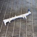 BMW 1 Series F20/F21 (2011-2020) Fuel Rail 8643665,7639979 11192355