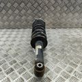 BMW X3 G01 (2017-2024) Rear Left Shock Absorber 6871801 22502666