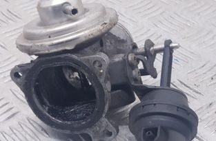 SEAT Cordoba 2 generation (1999-2009) Егр клапан 038131501E 14492108