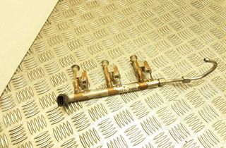 FORD Focus 3 generation (2011-2020) Fuel Rail 0900414279,DM5G9H487AA,0261555137 32996668