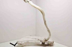 BMW 7 Series F01/F02 (2008-2015) Logu mazgāšanas tvertne 7269664,7269666,132640,7269663,7269665,8050439 32619736