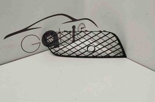 BENTLEY Continental Front Bumper Lower Grill 3w3807647 32601587