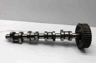 VOLKSWAGEN Passat B6 (2005-2010) Впускной вал 038109111E 32605130