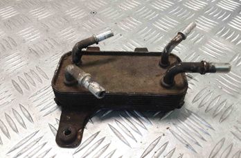 LAND ROVER Range Rover Sport 1 generation (2005-2013) Degvielas dzesētājs (radiators) 28418150