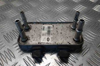 LAND ROVER Discovery Sport 1 generation (2014-2024) Fuel cooler (radiator) GJ329N103AA 31855306