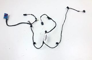 VOLKSWAGEN Passat B6 (2005-2010) Rear Left Door Wiring 3G2971557B 31259863