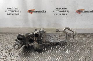 VOLKSWAGEN Passat B7 (2010-2015) EGR dzesētājs 03L131512CF 31589954