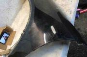 INFINITI FX Front Left Fender 32124210