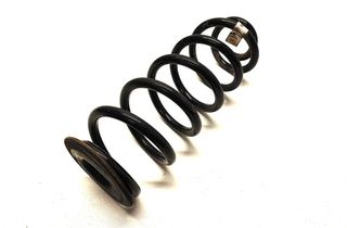 VOLKSWAGEN Arteon 1 generation (2017-2024) Пружина амортизатора задняя левая 3Q0511115 27344390