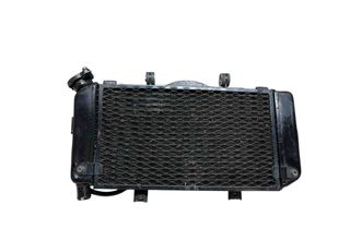 YAMAHA TDM 3 generation (2017-2023) Dzesēšanas radiators 32393480