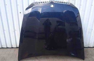 BMW X5 E70 (2006-2013) Bonnet 6917364 31124515