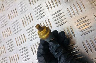 VOLKSWAGEN Golf 5 generation (2003-2009) Датчик температуры охлаждающей жидкости 06A919501A 31814876