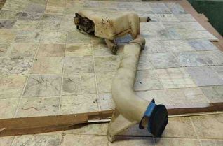 SKODA Fabia 1 generation  (2004-2007) Logu mazgāšanas tvertne 6Q0955453N 21042434