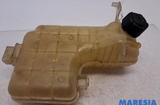 RENAULT Espace 4 generation (2002-2014) Расширительный бак 8200008866, 008200008866 33000669