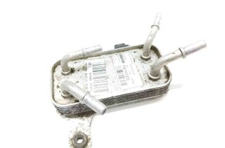 LAND ROVER Range Rover Sport 1 generation (2005-2013) Degvielas dzesētājs (radiators) F8741005 27816526