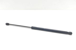 FORD EcoSport 2 generation (2013-2024) Rear Left Shock Absorber CN15N400A12BA 33031285