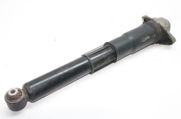 VOLKSWAGEN ID.4 1 generation (2020-2023) Aizmugurējais labais amortizators 1EA512013AD 33022758