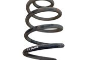 NISSAN Leaf 1 generation (2010-2017) Rear Left Coil Spring 33057445
