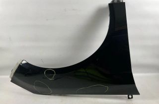 FORD Focus 3 generation (2011-2020) Priekšējais kreisais spārns PBM51-A16008-AG 25608898