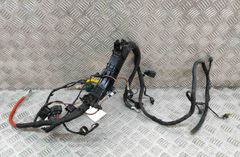 VOLKSWAGEN ID.3 1 generation (2019-2023) Жгут проводов двигателя 1EA971445 22507138