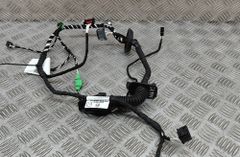 VOLKSWAGEN Tiguan 2 generation (2016-2024) Дверные кабели задние левые 5NA971694CA 28278781