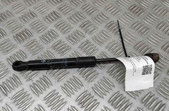 BMW M4 F82/F83 (2013-2020) Priekšējais labais pārsega amartizātors 8059044 30422414