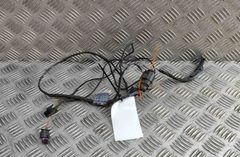 AUDI A3 8V (2012-2020) Rear Parking Aid Wiring 8V0971104 30807788