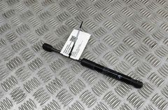 BMW M3 F80 (2013-2020) Priekšējais kreisais pārsega amartizātors 8059044 31428229