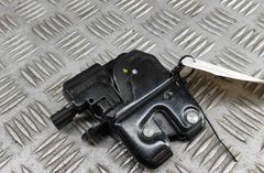 RENAULT Zoe 1 generation (2012-2023) Tailgate Boot Lock 846300003R 31465858
