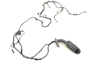 BMW 5 Series F10/F11 (2009-2017) Rear Left Door Wiring 9256017,9256016 30389062