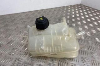 RENAULT Scenic 3 generation (2009-2015) Расширительный бак 217100005R 30559413
