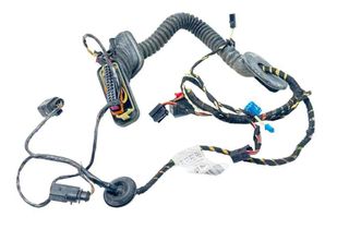 PORSCHE Cayenne 958 (2010-2018) Rear Right Door Wiring 95861263020 30699712