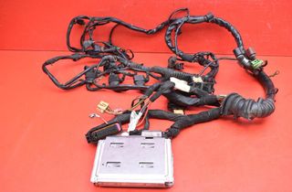 AUDI A4 B6/8E (2000-2005) Kabeļi / vadi 8E1971072LF 32588342