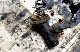 VOLKSWAGEN Touran 1 generation (2003-2015) Thermostat 32625481