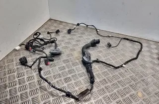 FORD S-Max 2 generation (2015-2024) Дверные кабели спереди справа E1GT14630 33476861