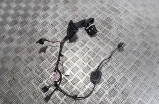 FORD Fiesta 7 generation (2017-2024) Aizmugurējo kreiso durvju elektroinstalācija D2BT 33562168