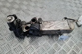 VOLKSWAGEN Passat B6 (2005-2010) Охладитель Eгр 03L131512C 33307804