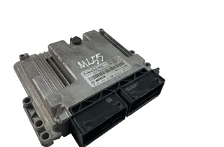 FORD Tourneo Connect 2 generation (2013-2022) Motora vadības bloks 0281036224,JV6A-12A650-AKA 33783931