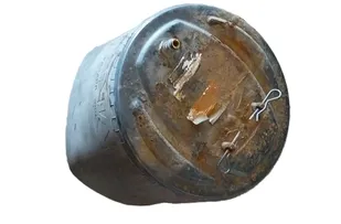 SCANIA L,P,G,R,S series (2016) Pneimatiskais / gaisa spilvens 1903608 31100346