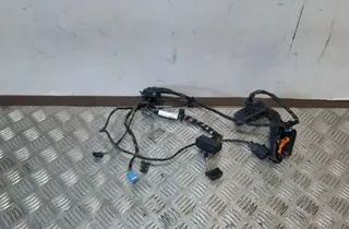 VOLKSWAGEN Tiguan 1 generation (2007-2017) Дверные кабели задние правые 33412084