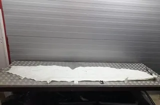 AUDI A8 D2/4D (1994-2002) Right Side Roof Airbag SRS 4H4880741,4H4880742D 33422271