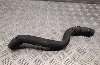 AUDI A4 B9/8W (2015-2024) Dzesēšanas šļauka / truba 8W0122101B 33428722